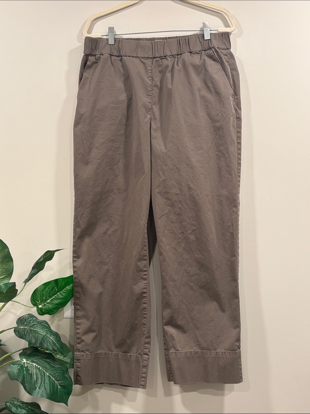 Everlane Organic Cotton Relaxed Wide-Leg Cropped Pants in Olive Green